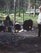 Video: ‘On The Road’ by Jack Kerouac Film Trailer