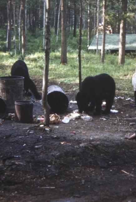 Photos: Marilyn Photos Auctioned Off