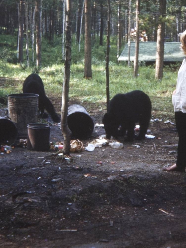 Photos: Marilyn Photos Auctioned Off