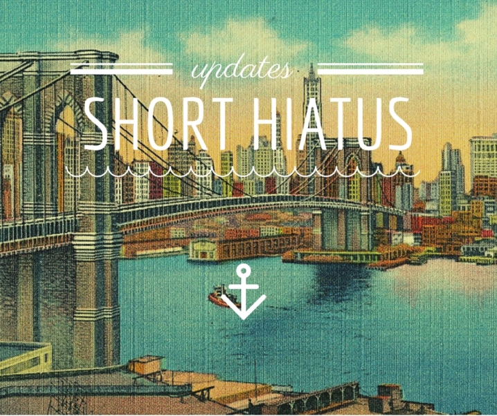Update: Short Hiatus