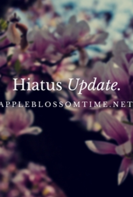 Update: Hiatus