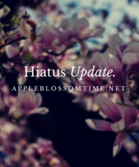 Update: Hiatus