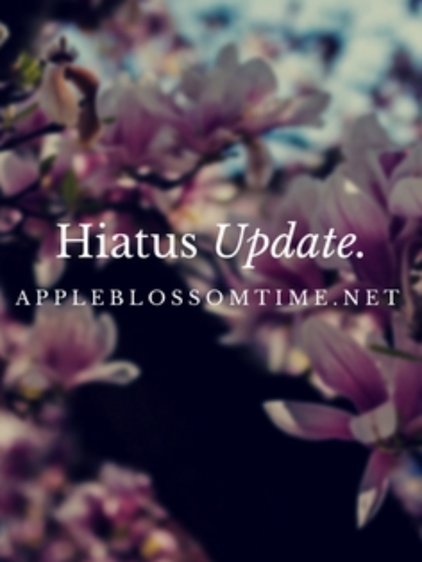 Update: Hiatus