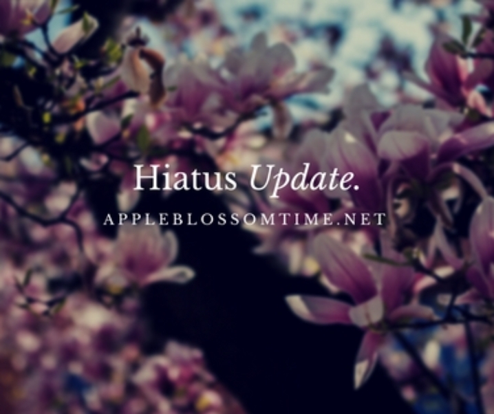 Update: Hiatus
